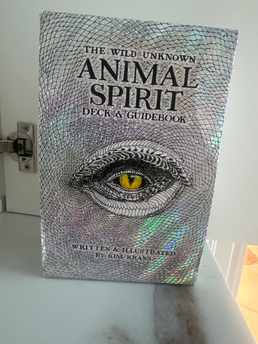 The Wild Unknown Animal Spirit Deck and Guidebook (Official Keepsake Box Set)